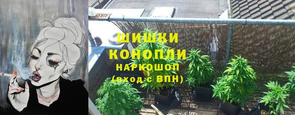 стаф Инсар